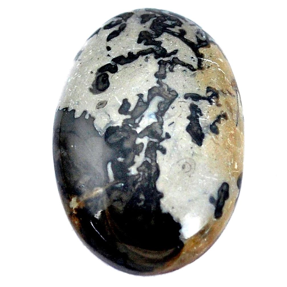 Natural 21.30cts cotham landscape marble brown 28x18mm oval loose gemstone s8981