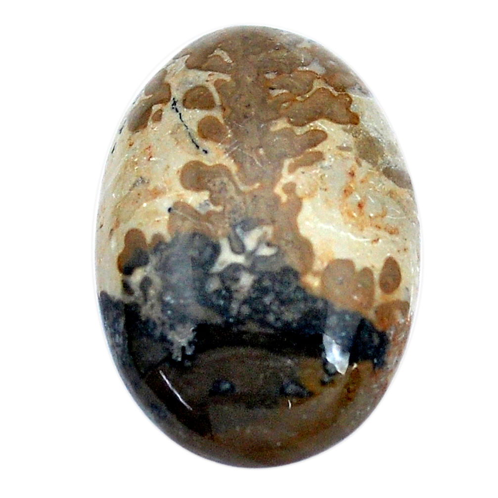 Natural 15.10cts cotham landscape marble brown 24x16mm oval loose gemstone s8999