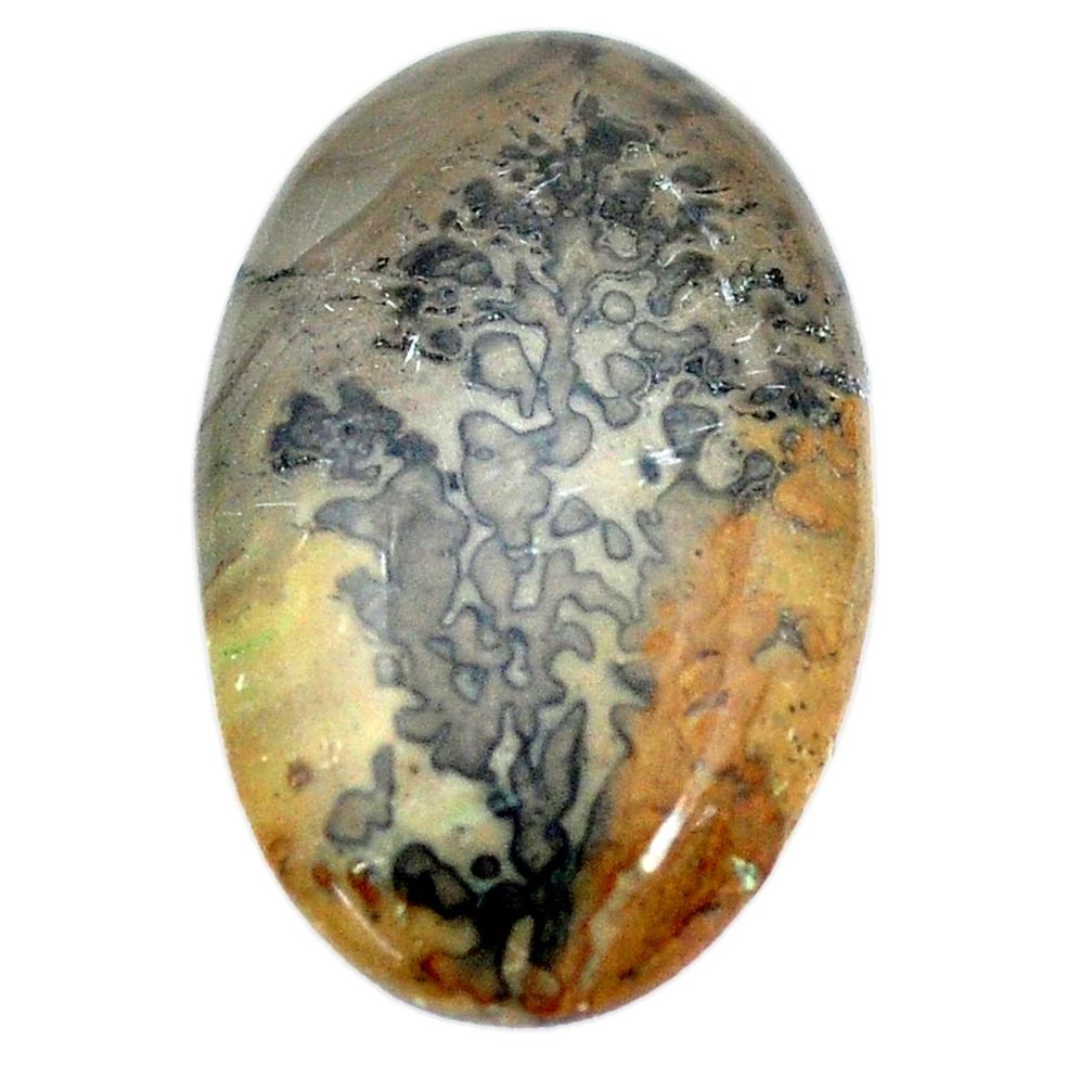 Natural 15.10cts cotham landscape marble brown 27x17mm oval loose gemstone s9000