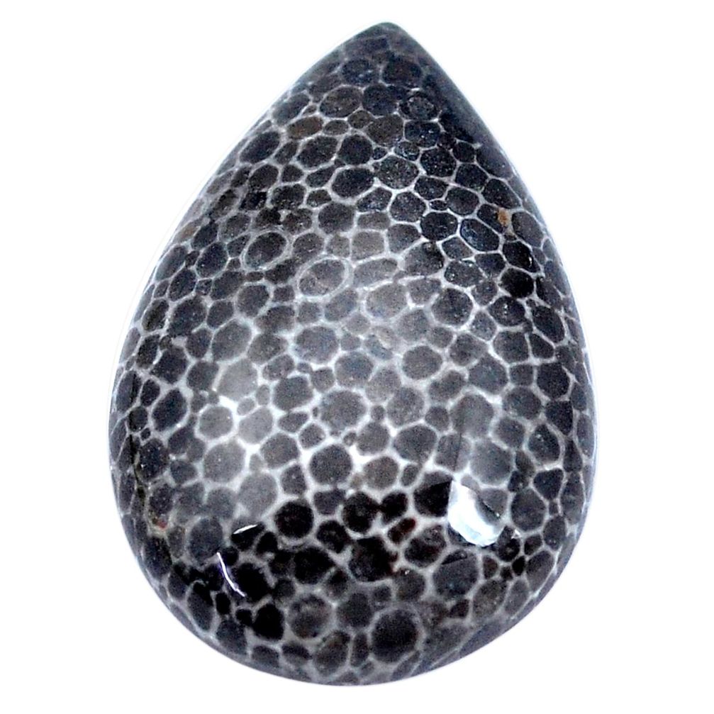 Natural 27.35cts stingray coral from alaska black 29x20 mm loose gemstone s9055