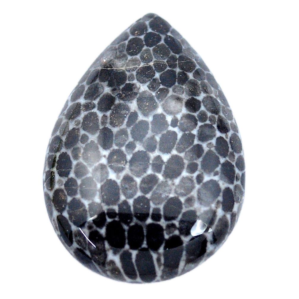 Natural 25.10cts stingray coral from alaska black 32x22 mm loose gemstone s9059