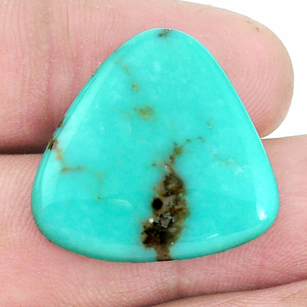 Natural 13.45cts campitos turquoise green cabochon 23x23 mm loose gemstone s9483