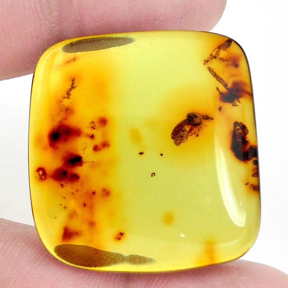 Natural 25.15cts amber from colombia green 32x31 mm octagan loose gemstone s9543