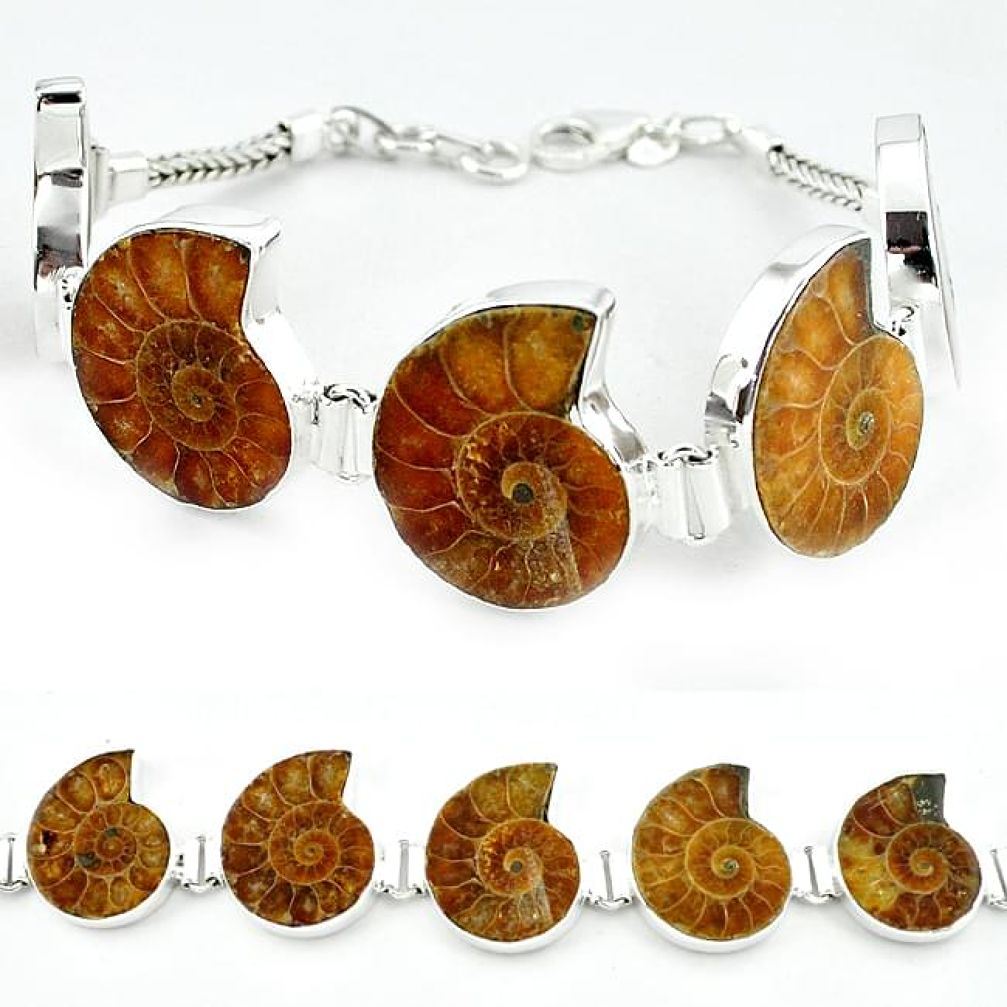 925 sterling silver natural brown ammonite fossil bracelet jewelry j46417