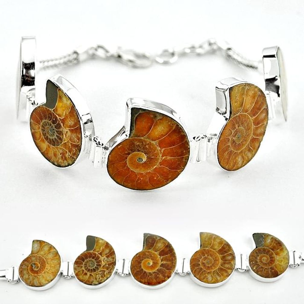 Natural brown ammonite fossil 925 sterling silver bracelet jewelry j46418
