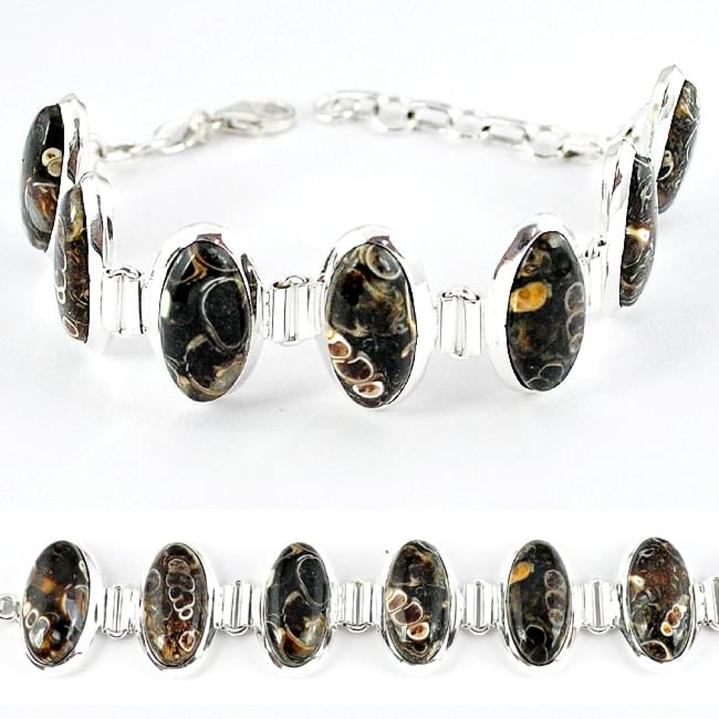 925 silver natural brown turritella fossil snail agate oval bracelet k41348