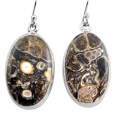 925 silver 22.59cts natural brown turritella fossil snail agate earrings p88759
