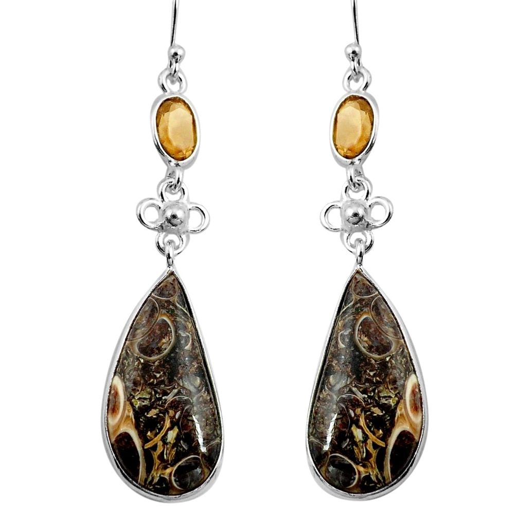 925 silver 17.32cts natural turritella fossil snail agate dangle earrings p78648