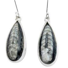 925 sterling silver 26.08cts natural black orthoceras dangle earrings p53924