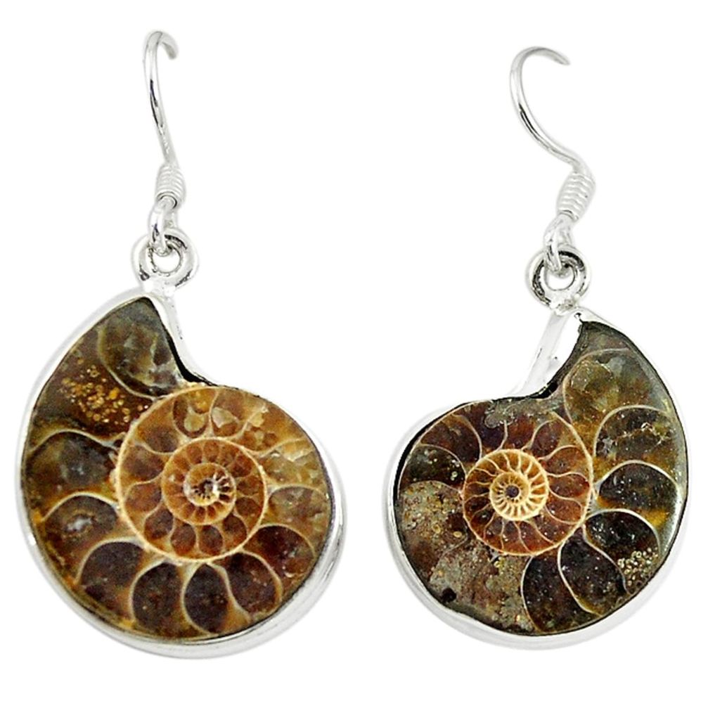 Natural brown ammonite fossil 925 silver dangle earrings jewelry d16781