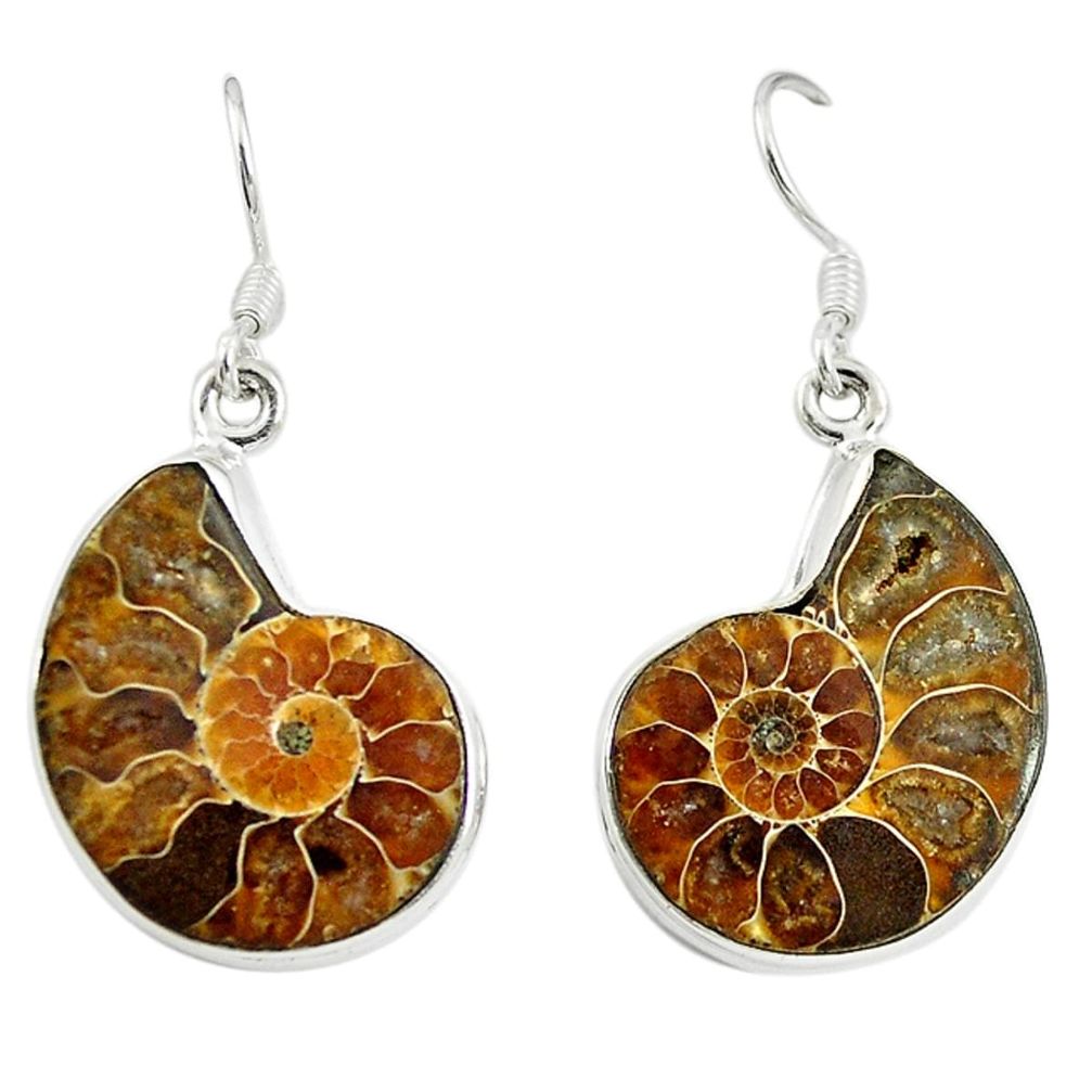 Natural brown ammonite fossil 925 silver dangle earrings jewelry d16796