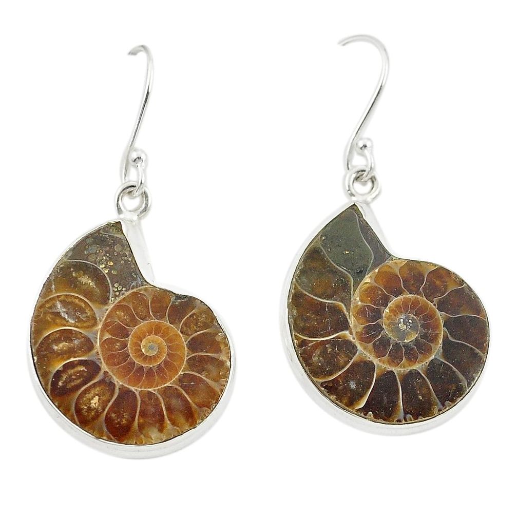 925 sterling silver natural brown ammonite fossil earrings jewelry d25118