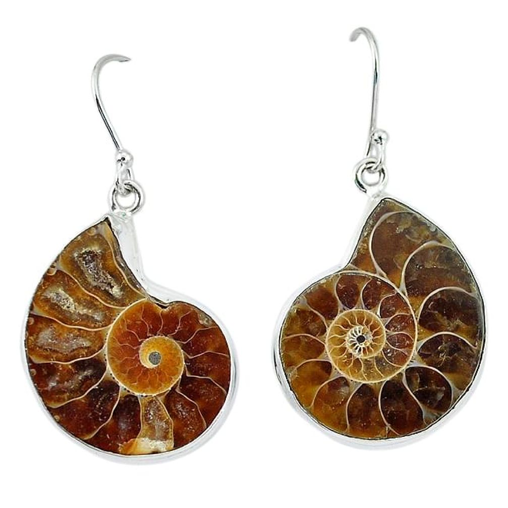 Natural brown ammonite fossil 925 silver dangle earrings jewelry k56472