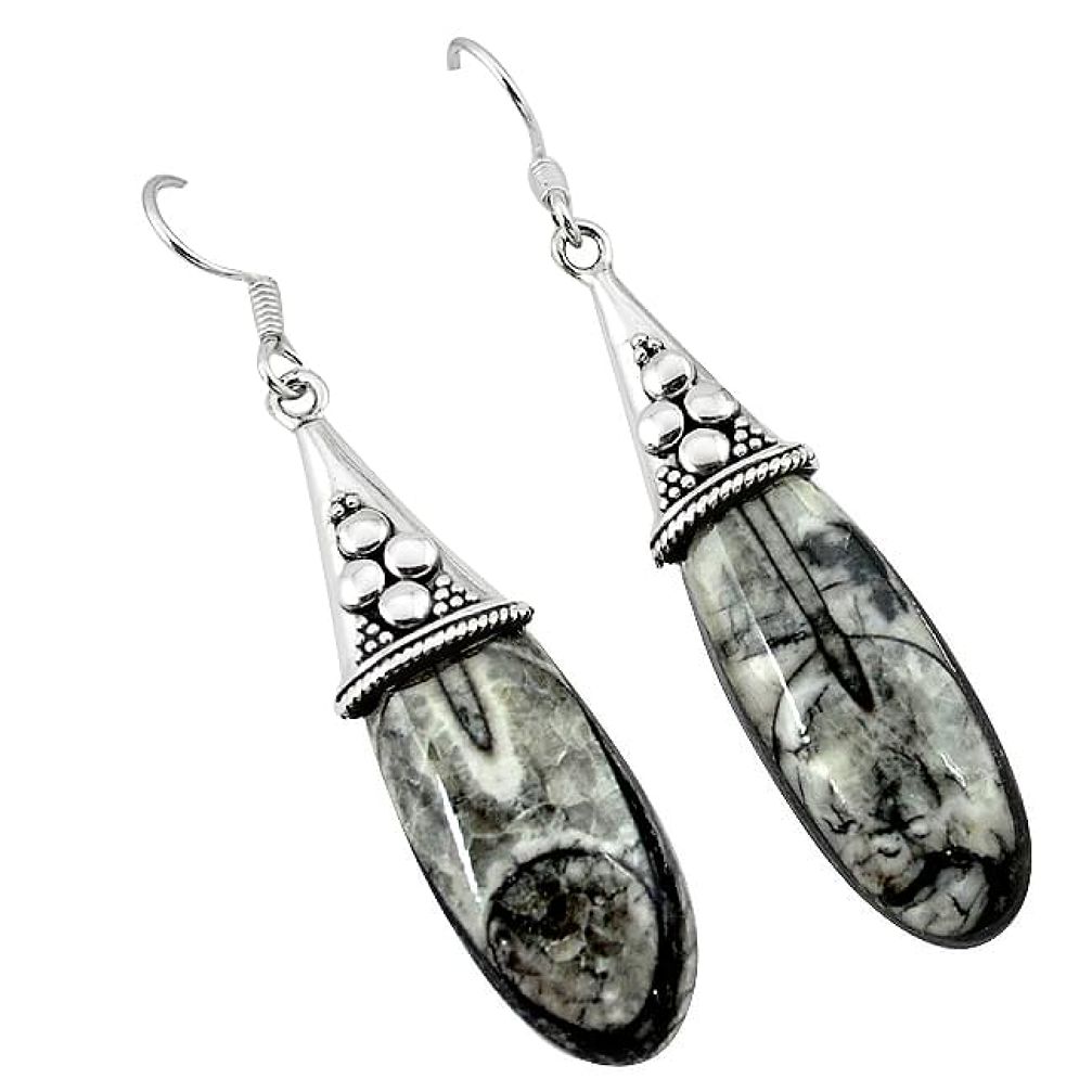 Natural black orthoceras 925 sterling silver earrings jewelry k77731