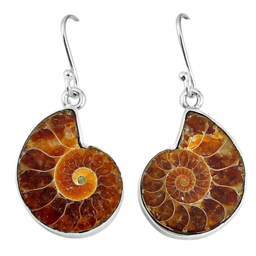 Natural brown ammonite fossil 925 silver dangle earrings jewelry k84029