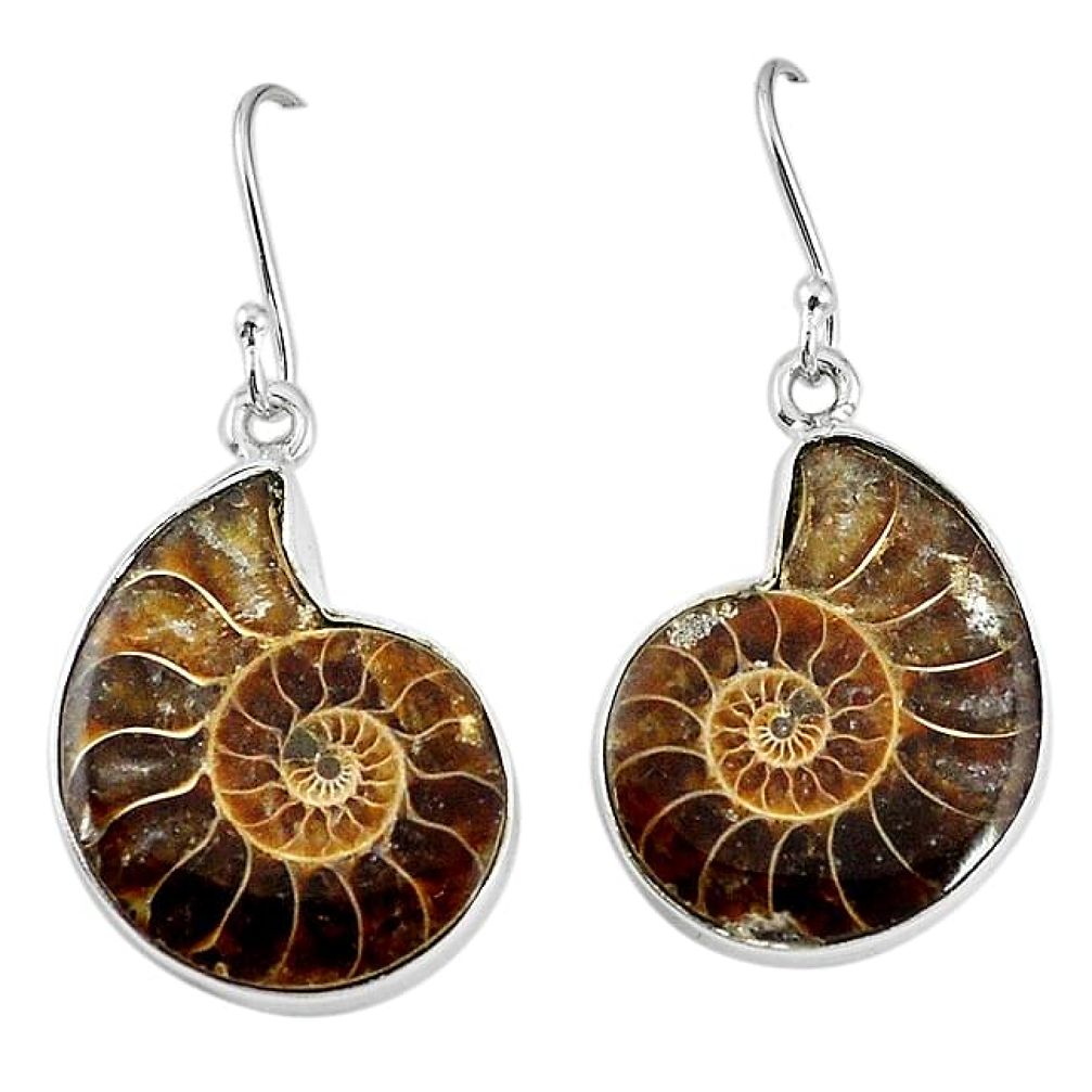 925 silver natural brown ammonite fossil dangle earrings jewelry k84030