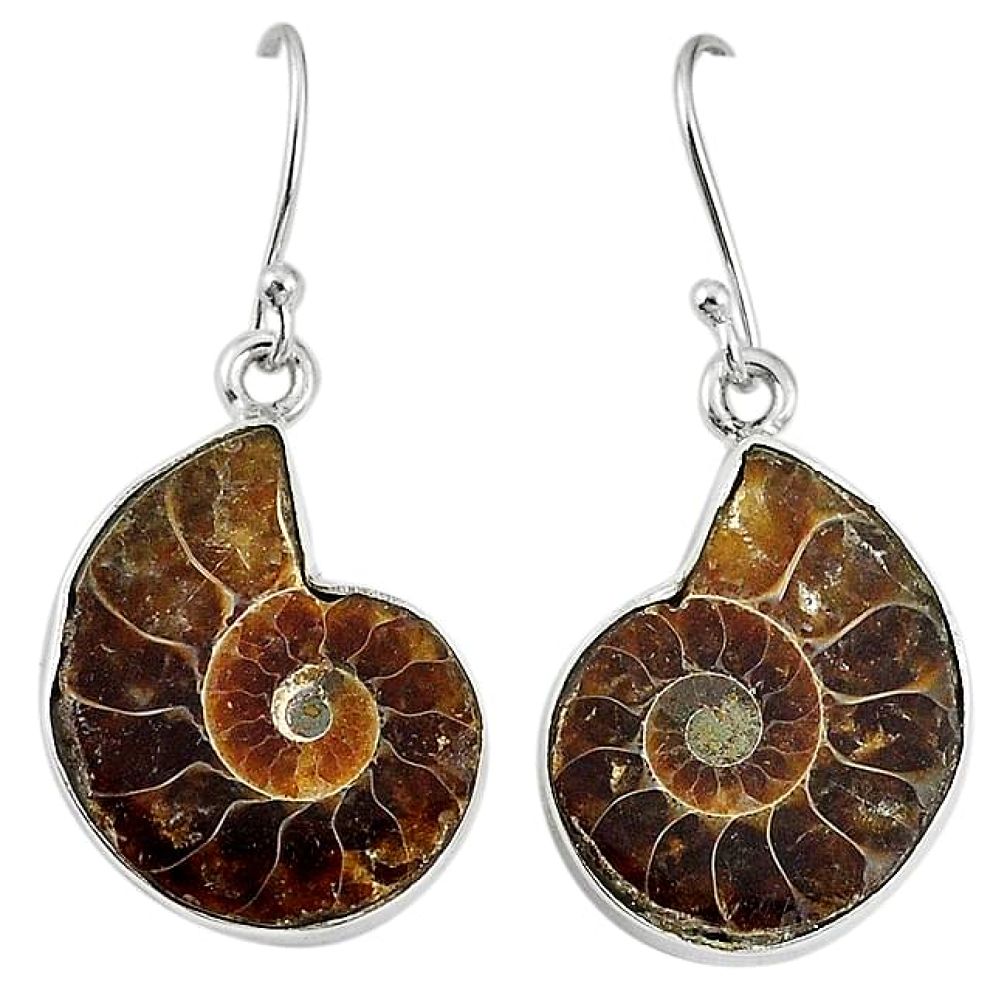 Natural brown ammonite fossil 925 sterling silver dangle earrings k84031