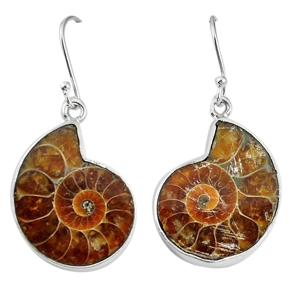 925 silver natural brown ammonite fossil dangle earrings jewelry k84035