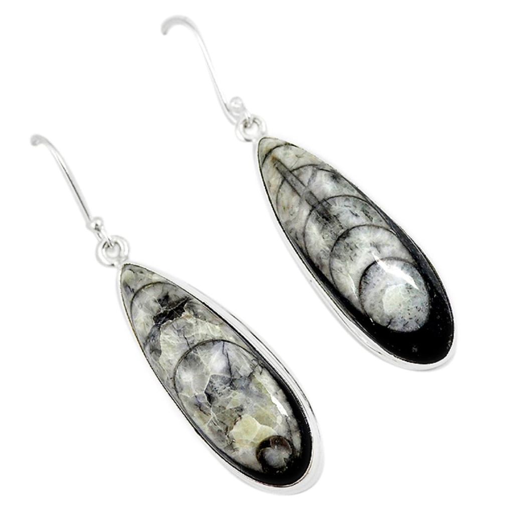 Natural black orthoceras 925 sterling silver dangle earrings m18182