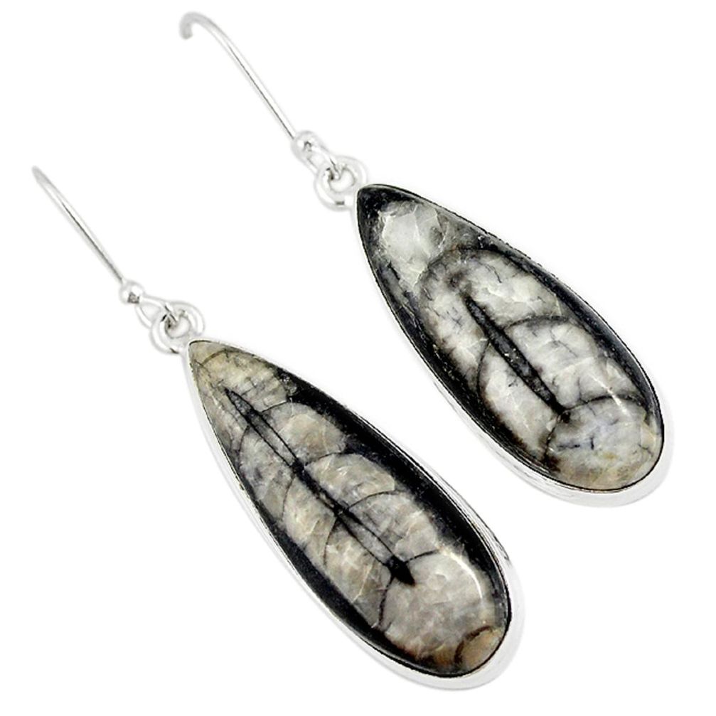 Natural black orthoceras 925 sterling silver dangle earrings m18189