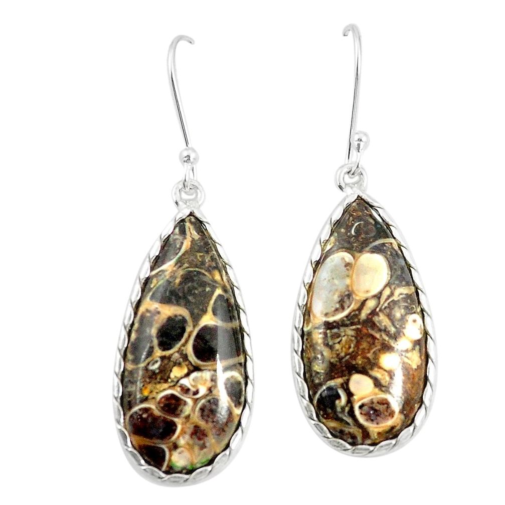 Natural brown turritella fossil snail agate 925 silver dangle earrings m36576