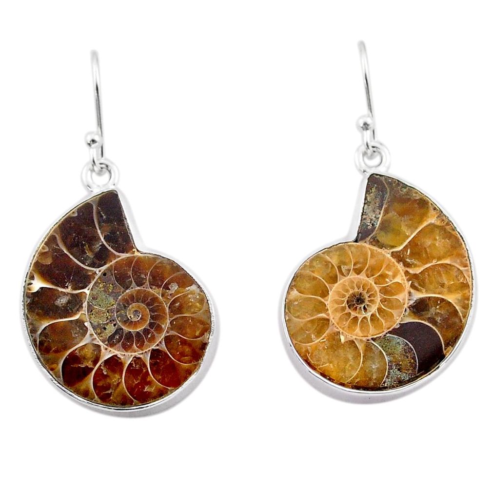 925 silver 24.20cts natural brown ammonite fossil dangle earrings jewelry t83914