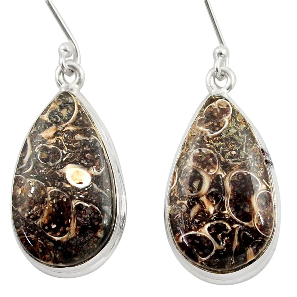 cts natural brown turritella fossil snail agate earrings d39952