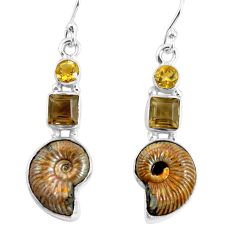cts natural russian jurassic opal ammonite earrings p64684