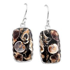 925 silver 11.56cts natural turritella fossil snail agate dangle earrings y62708