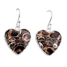 925 silver 10.96cts natural turritella fossil snail agate dangle earrings y62711