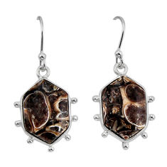 925 silver 10.25cts natural turritella fossil snail agate dangle earrings y72957