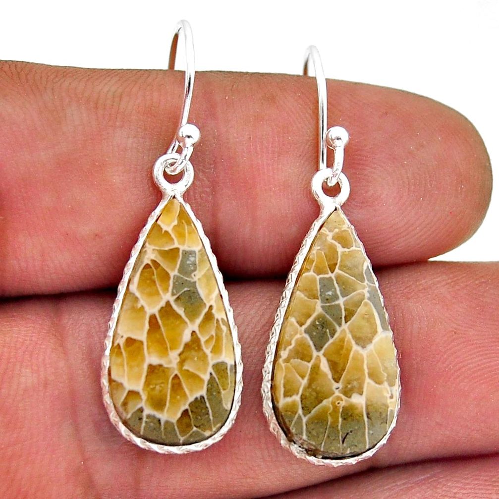 11.83cts fossil coral (agatized) petoskey stone silver dangle earrings n53627