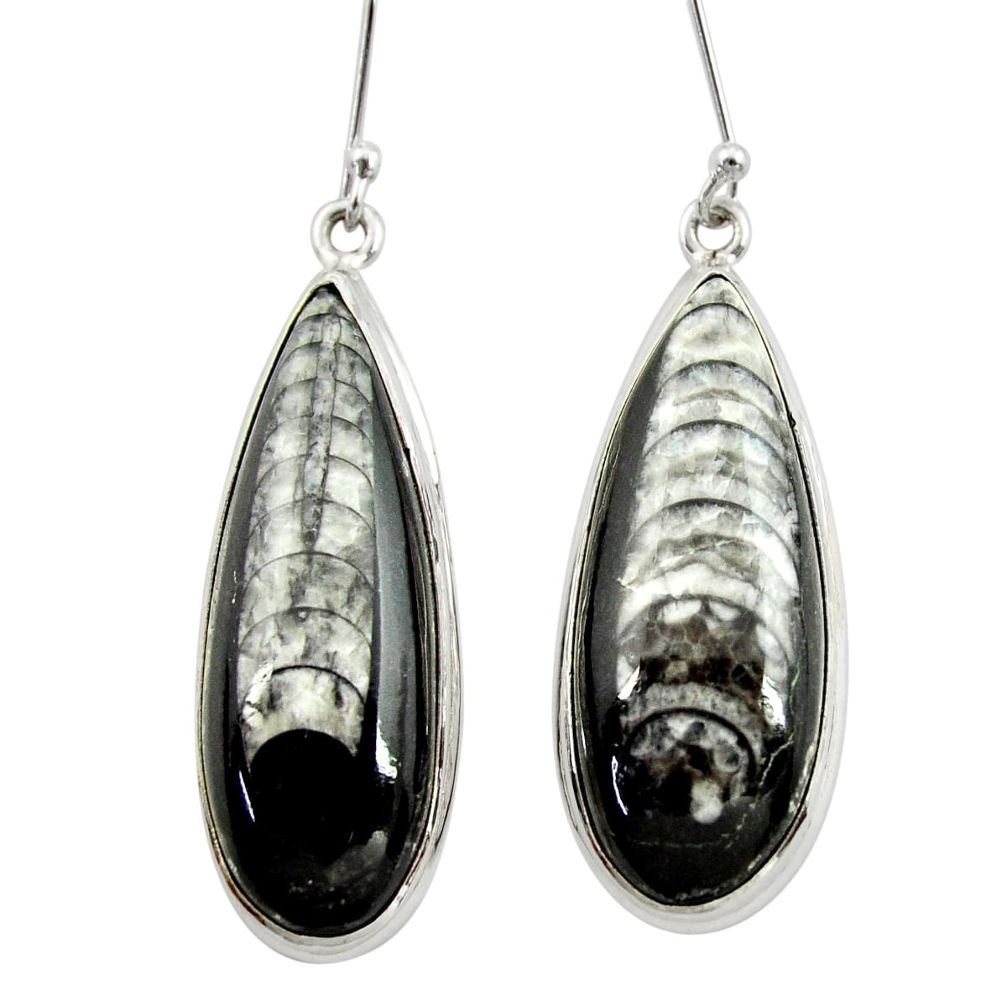32.10cts natural black orthoceras 925 sterling silver dangle earrings d40575