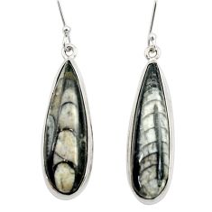 26.70cts natural black orthoceras 925 sterling silver dangle earrings d40577