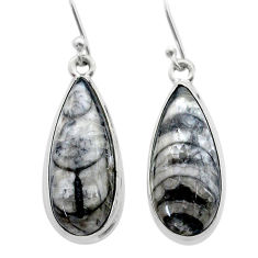 16.06cts natural black orthoceras 925 sterling silver dangle earrings u71239