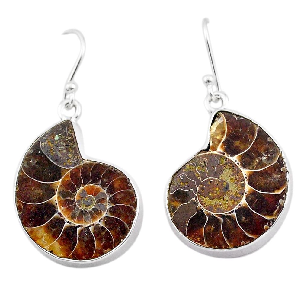 20.07cts natural brown ammonite fossil 925 silver dangle earrings jewelry t83920