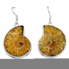 27.68cts natural brown ammonite fossil 925 silver dangle earrings jewelry t95032