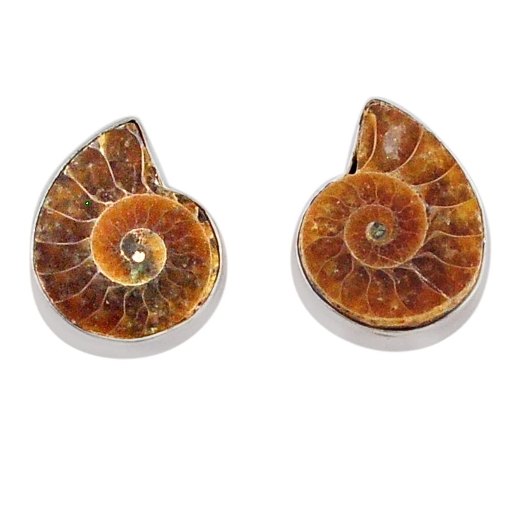 10.37cts natural brown ammonite fossil 925 silver dangle earrings jewelry t95039