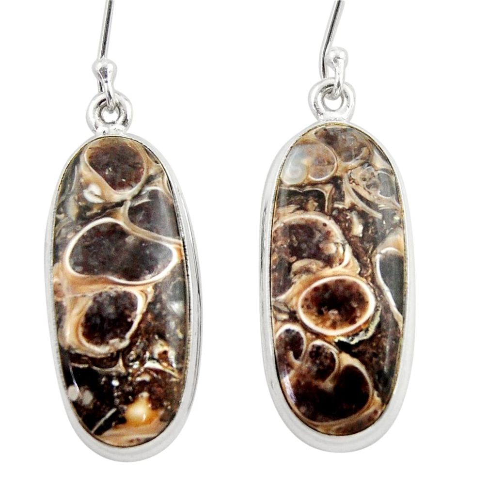 23.15cts natural brown turritella fossil snail agate 925 silver earrings d39953