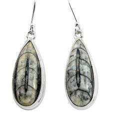 24.62cts natural black orthoceras 925 sterling silver dangle earrings p53923