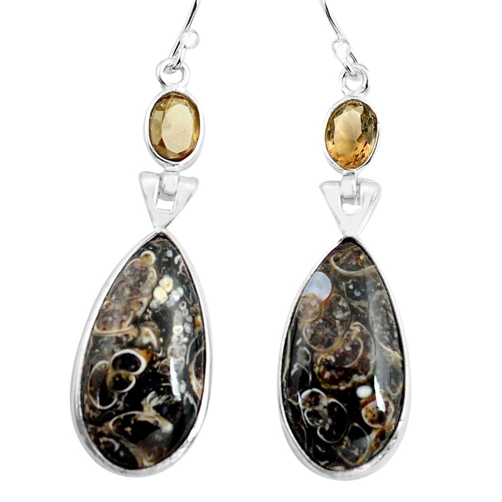 16.07cts natural brown turritella fossil snail agate 925 silver earrings p78651