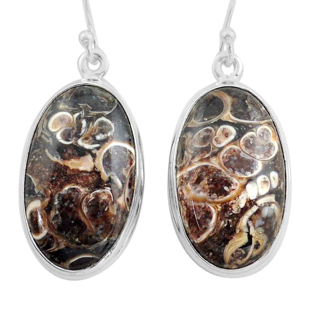 22.59cts natural brown turritella fossil snail agate 925 silver earrings p88757