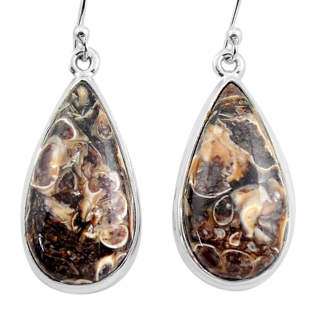 19.99cts natural brown turritella fossil snail agate 925 silver earrings p88758