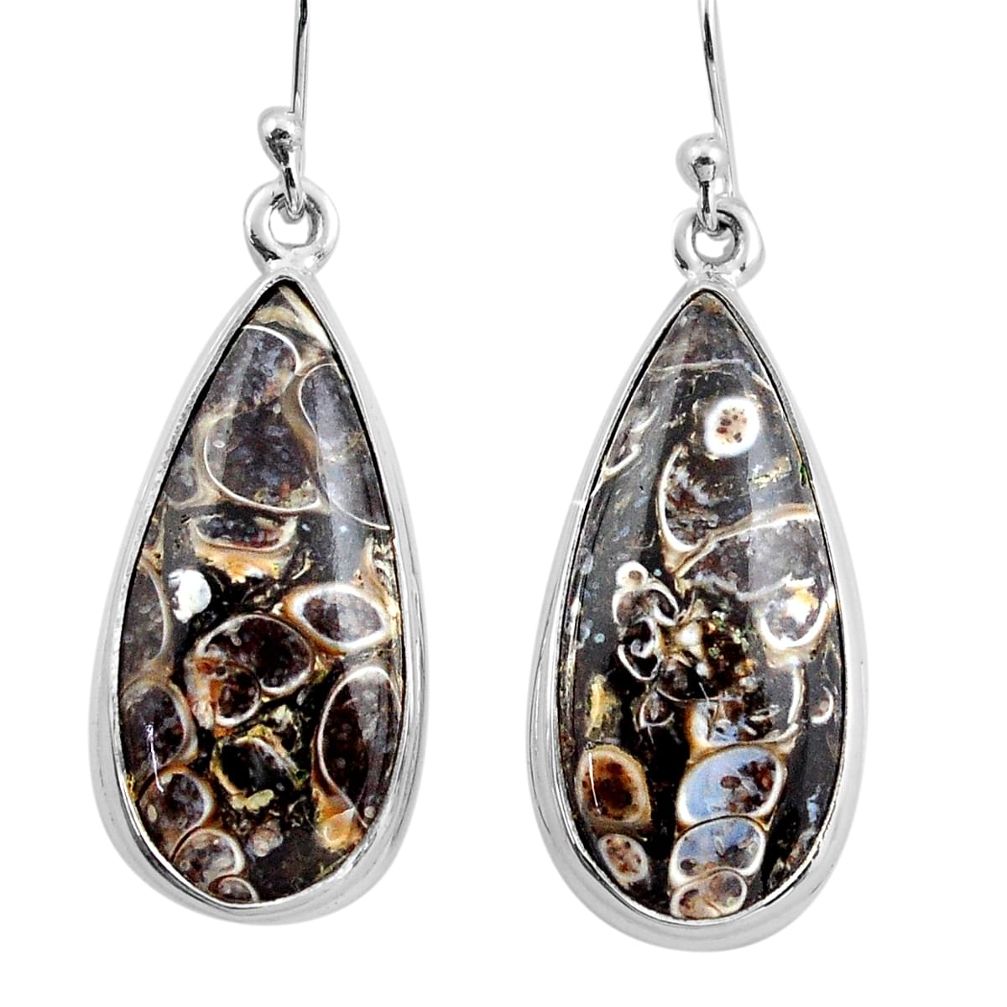 22.02cts natural brown turritella fossil snail agate 925 silver earrings p88760