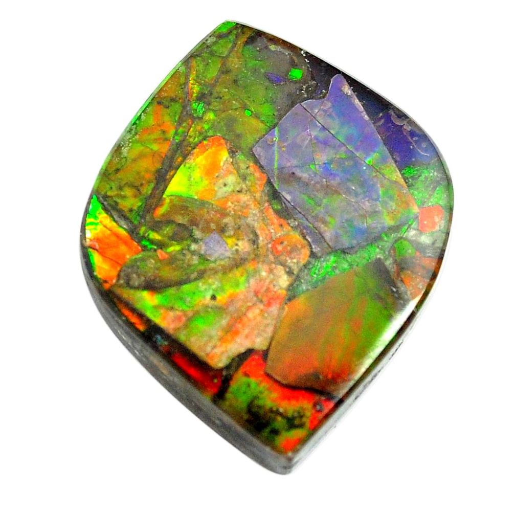 Natural 24.45cts ammolite triplets 28.5x23.5 mm fancy loose gemstone s13461