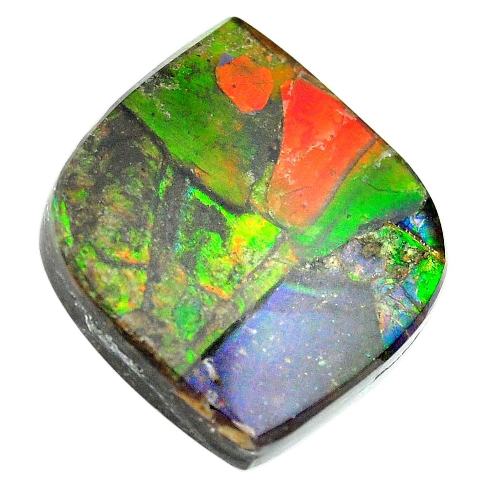 Natural 24.35cts ammolite triplets multicolor 22.5x22 mm loose gemstone s13473