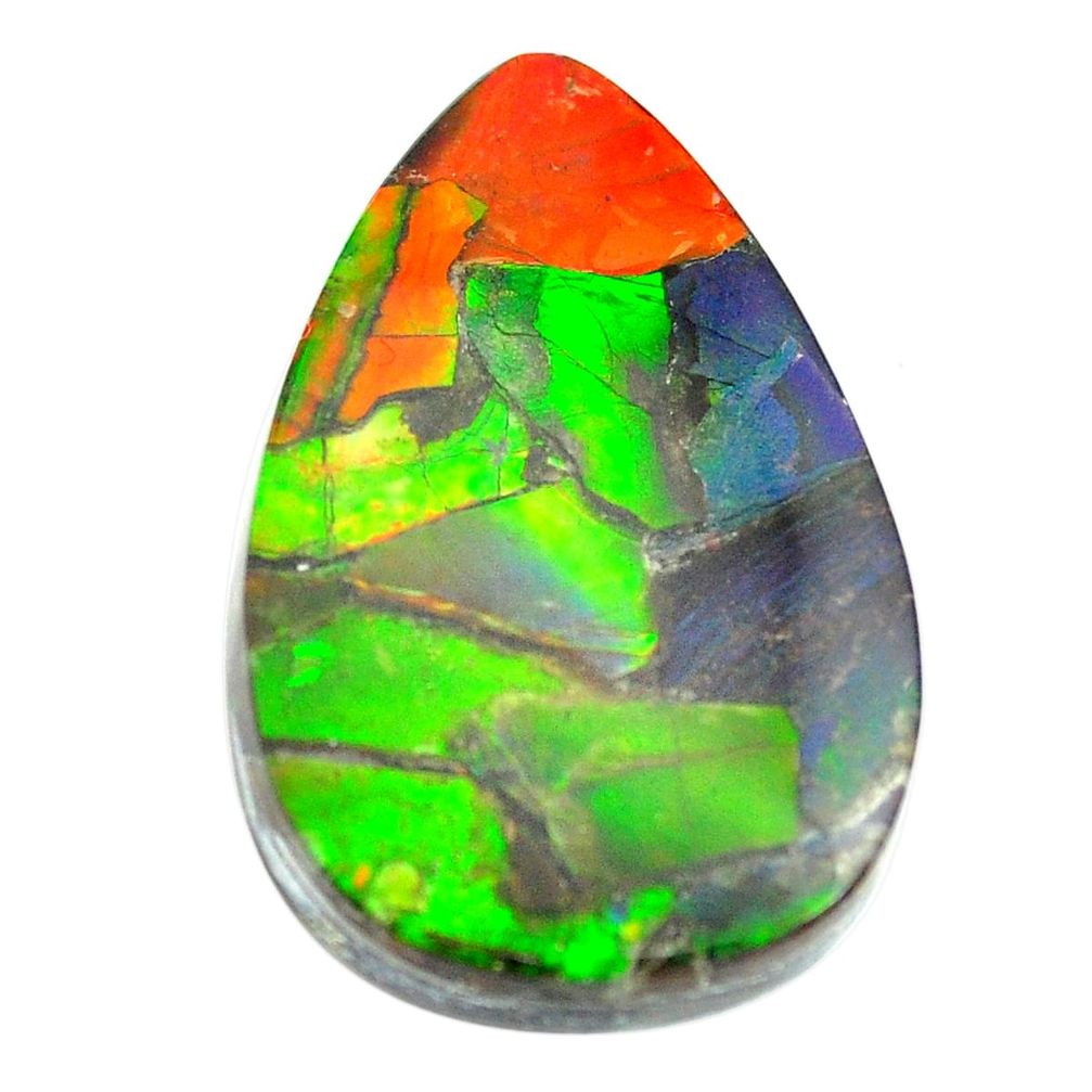 Natural 28.40cts ammolite triplets multicolor 33x21mm pear loose gemstone s13472