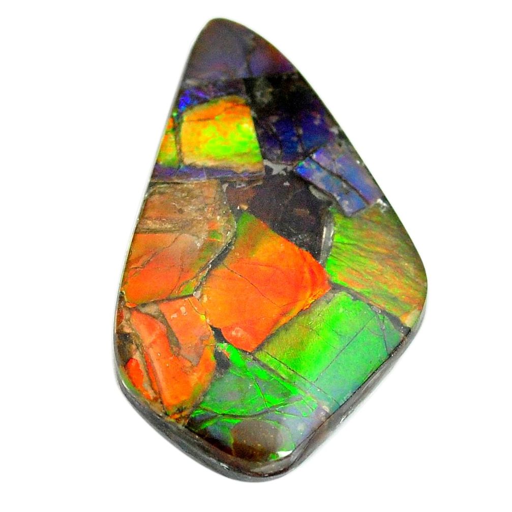 Natural 24.35cts ammolite triplets multicolor 36x21 mm loose gemstone s13467