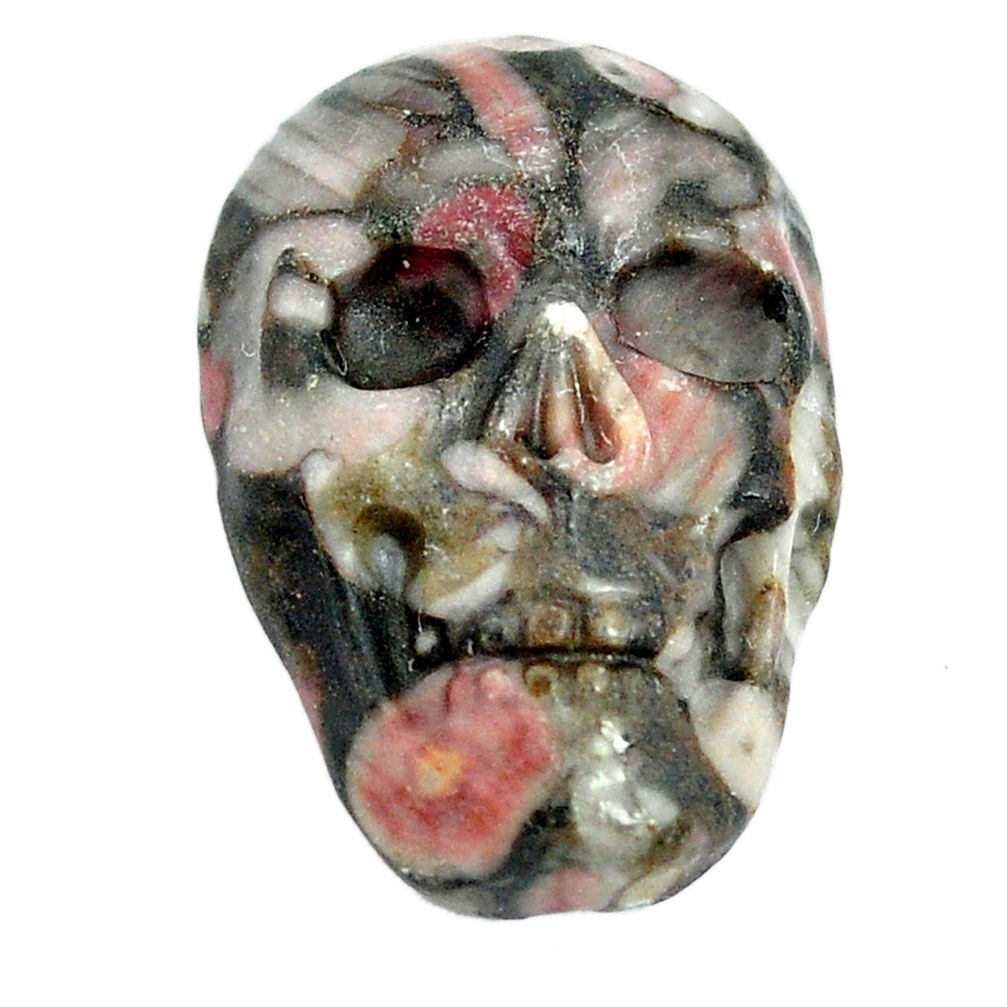 Natural 14.45cts colus fossil black 22.5x15 mm skull loose gemstone s13276