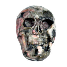 Natural 13.45cts colus fossil black 22.5x15 mm skull loose gemstone s13278